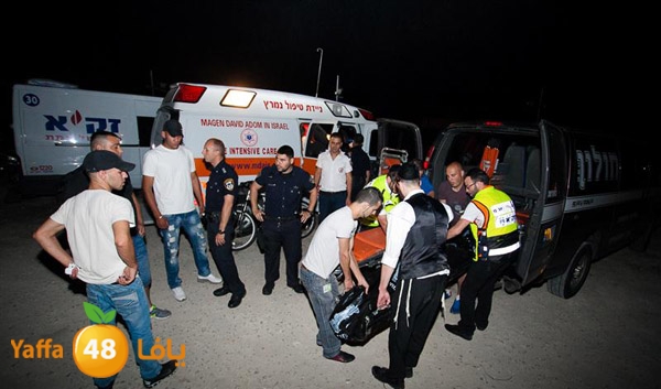 3aregmontreeh520 (30).jpg